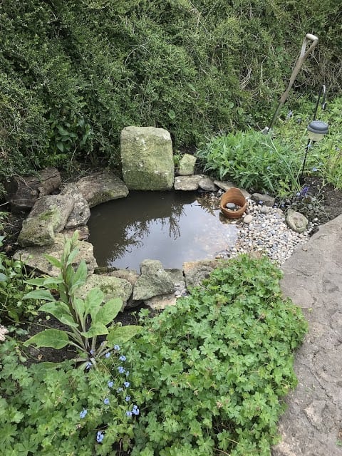 A wildlife pond made from natural materials