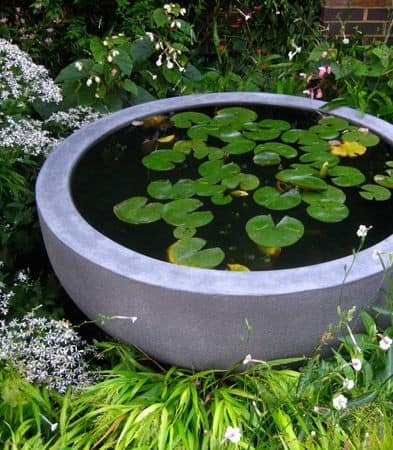 A mini pond made from a big concrete bowl
