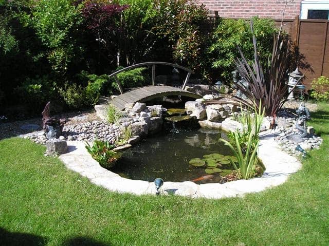 An idyllic koi pond in a sunny space