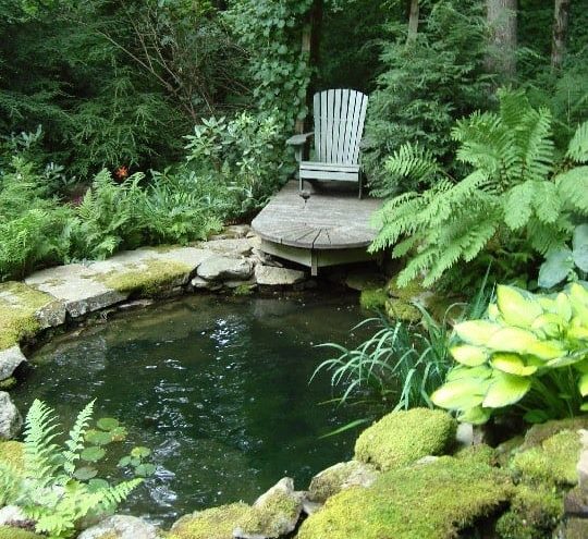 A garden pond with shade