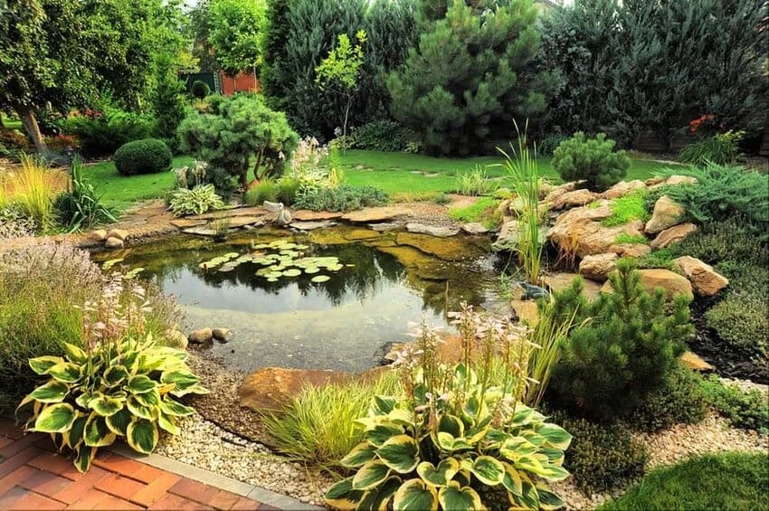 A garden pond in a peaceful environment