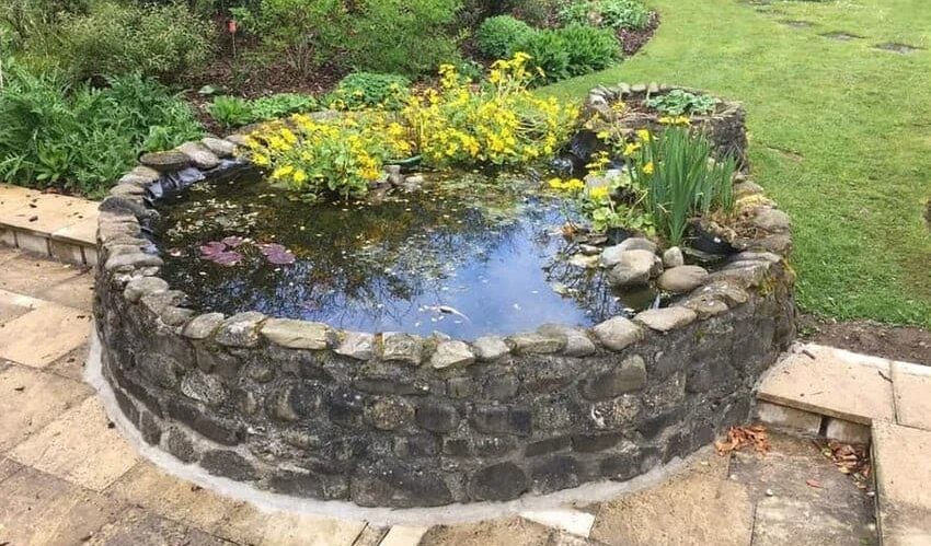 A pond that resembles a well