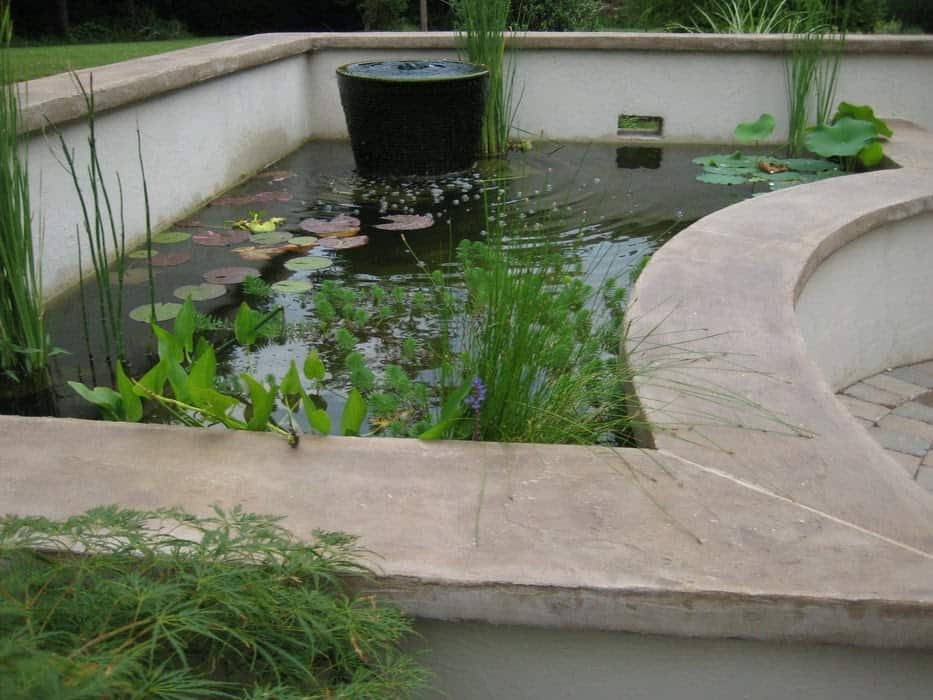 Ultimate koi corner pond