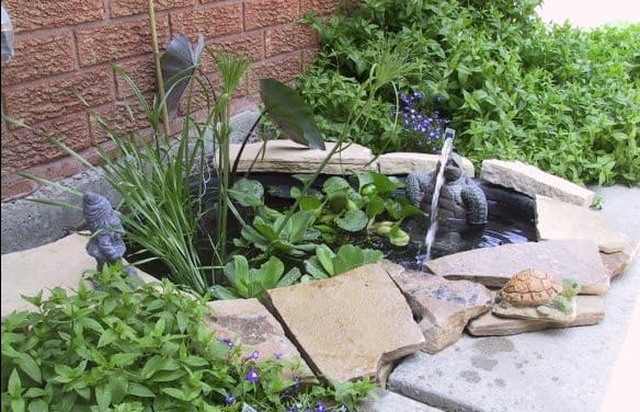 A cute, tiny water feature with a frog stone statue and water lilies