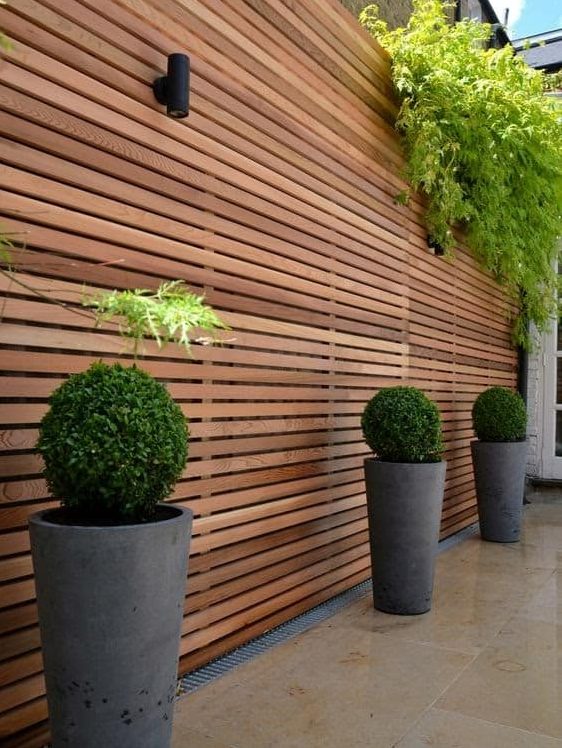 Tall, wooden fencing with some hanging plants