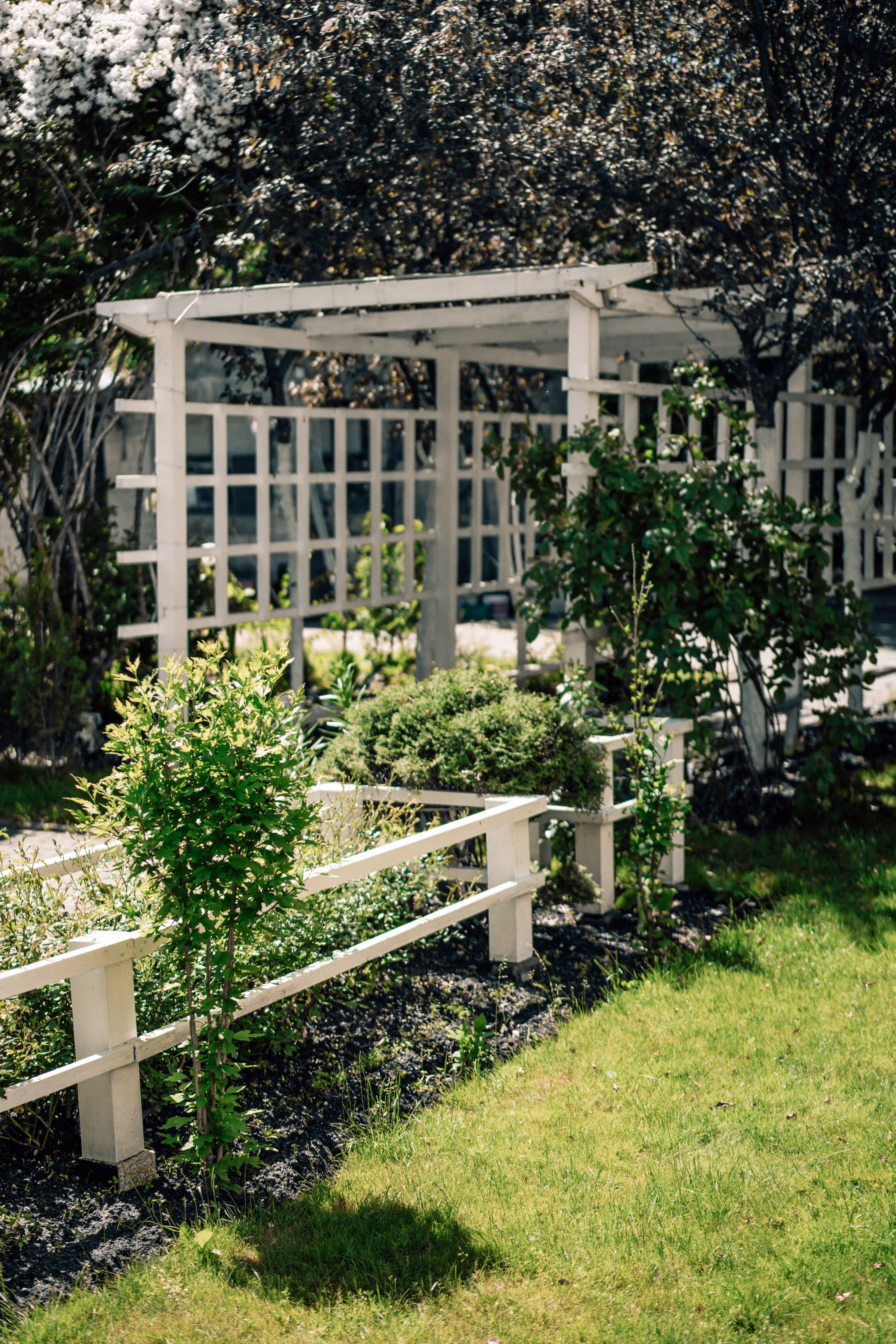 White tall fencing with trellis