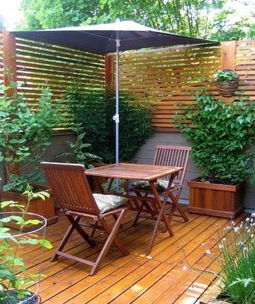 Climbing plants on a wooden screen for added privacy
