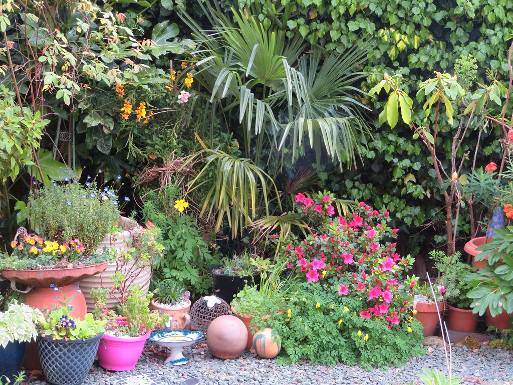 Lush garden corner with variety of plants and greenery