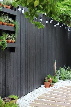 Black fencing, giving off a more contemporary feel.