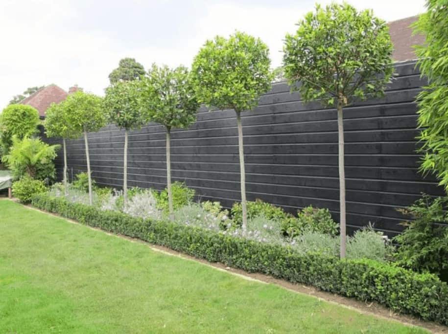 Plain wooden screens with well-pruned trees around
