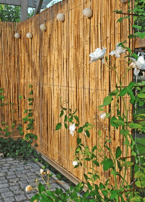Oriental vibes outdoor space with bamboo fencing