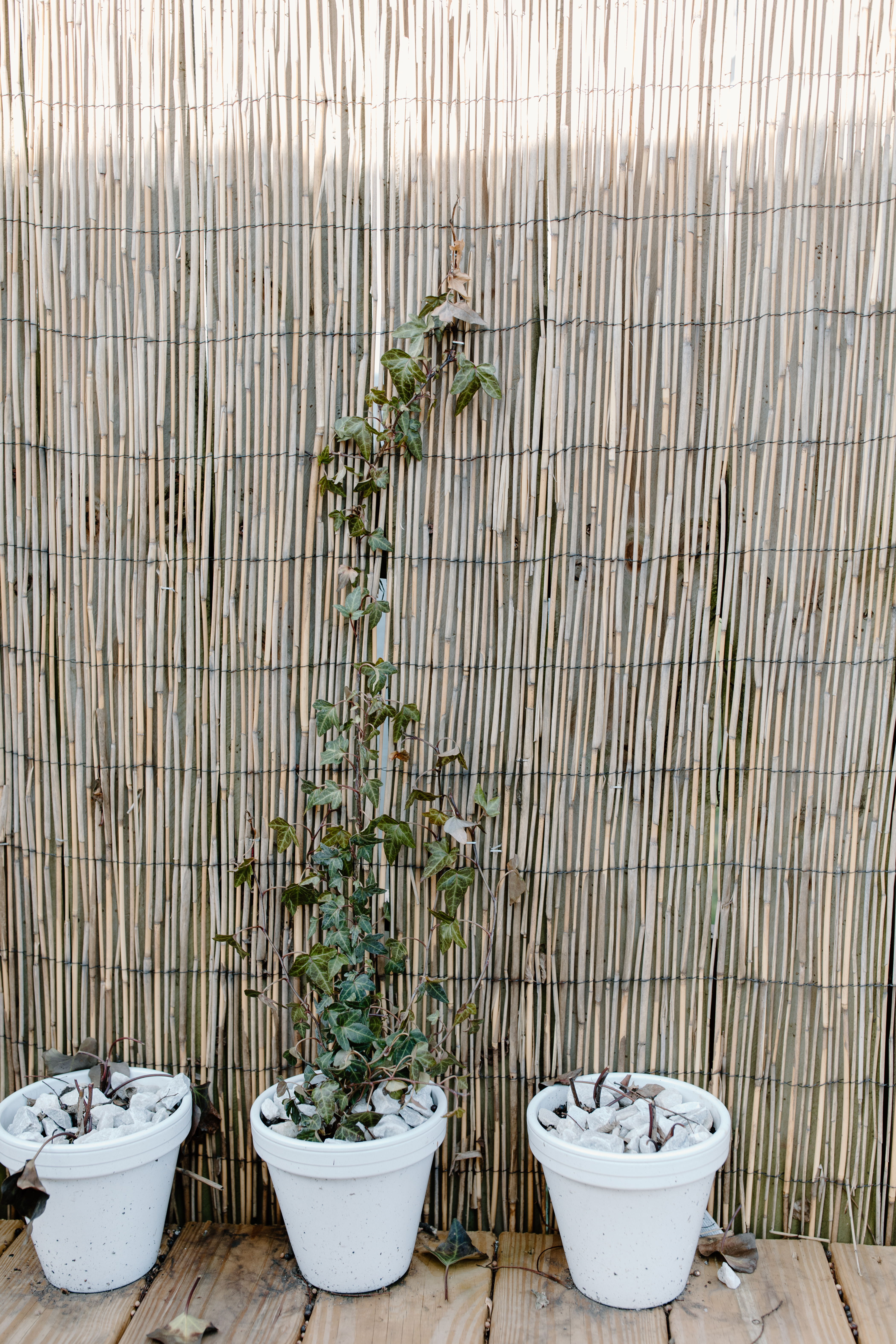 Bamboo patio screening with three potted plants on deck