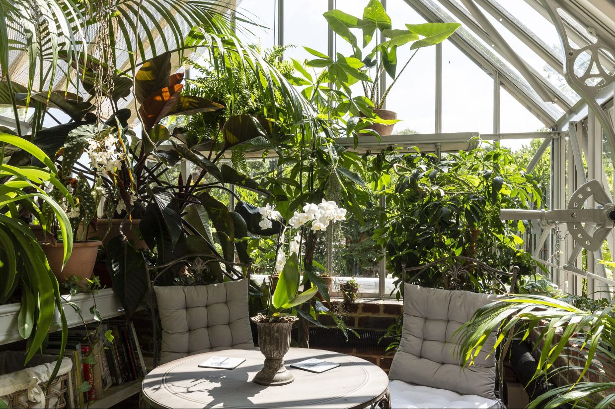 A garden greenhouse with dining area surrounded with small trees and lush green plants