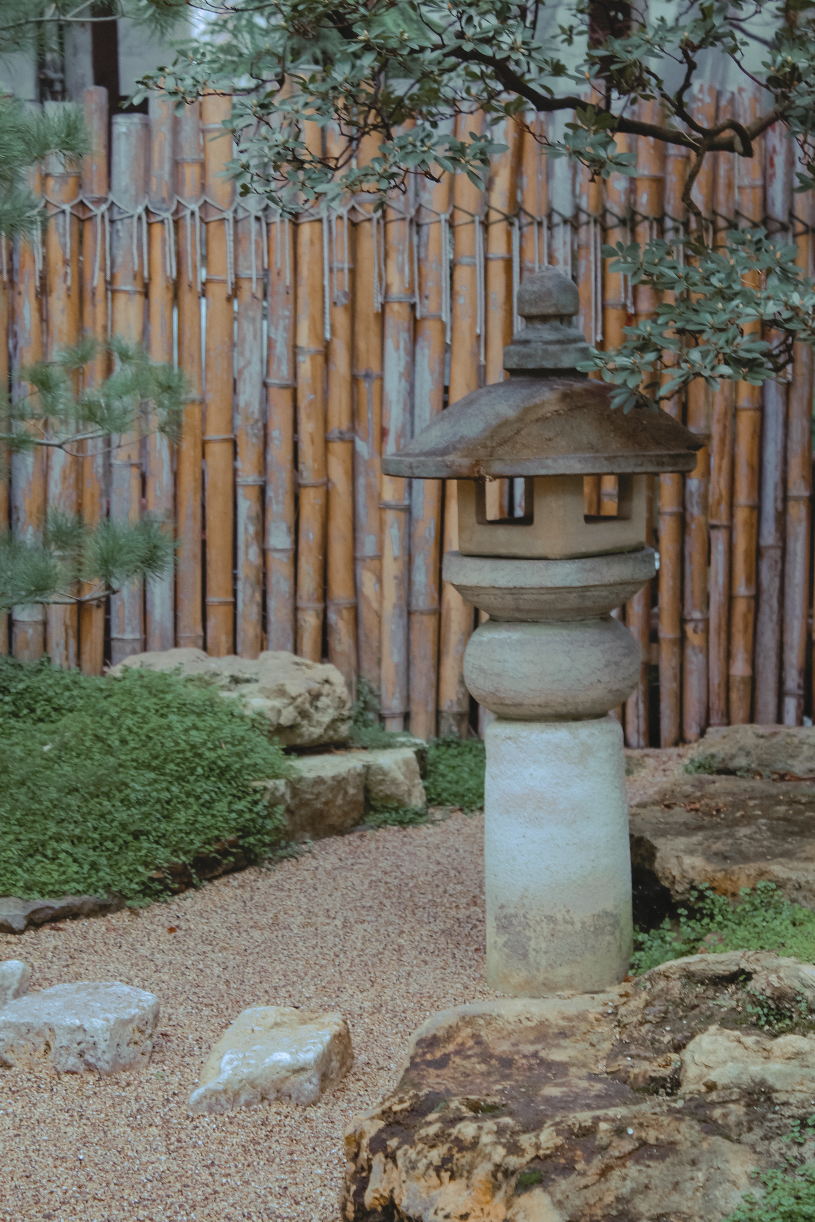 A mini Zen garden with bamboo fencing