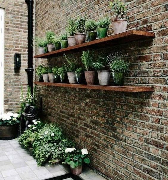 Shelves with plants on brick wall