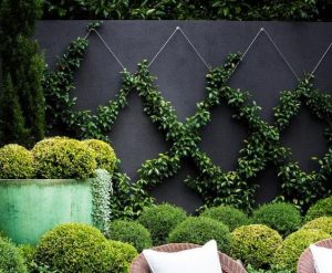 Garden Wall Ideas: Best Designs For Garden Walls + Pics