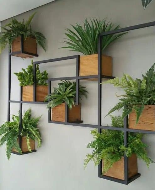 Hanging plants with metal frames