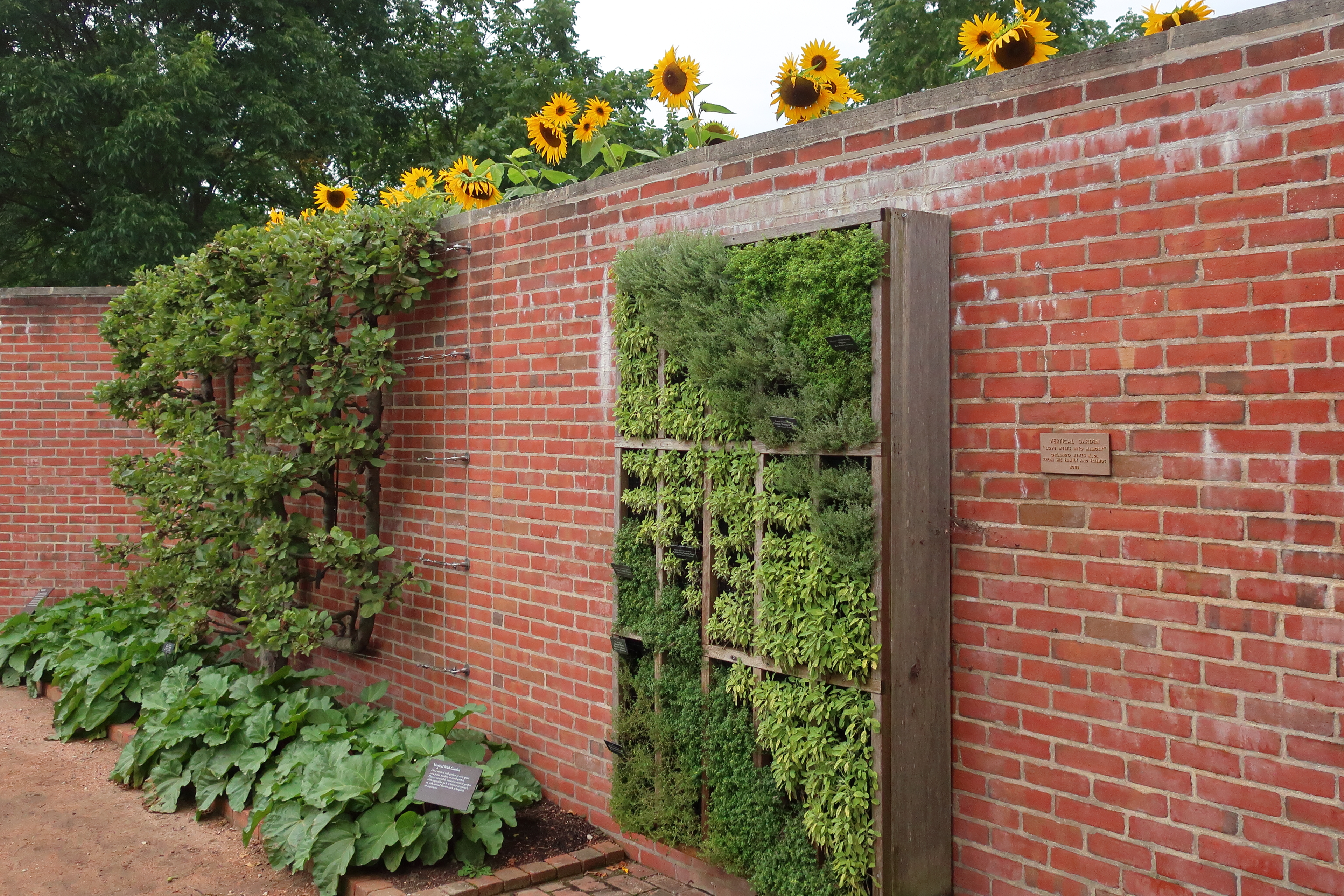 DIY vertical vegetable garden on a brick wall