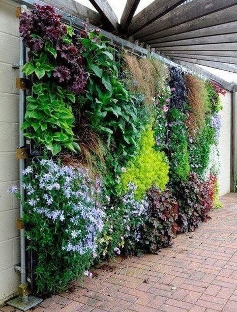 Multicolour flower wall