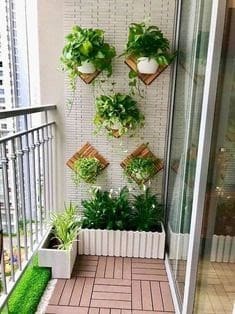 Mini balcony garden with hanging plants