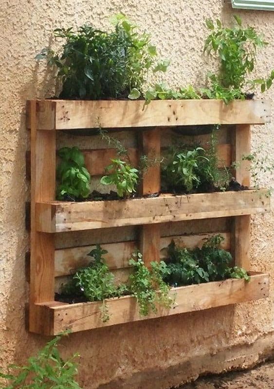 Wooden pallet transformed into a vertical garden