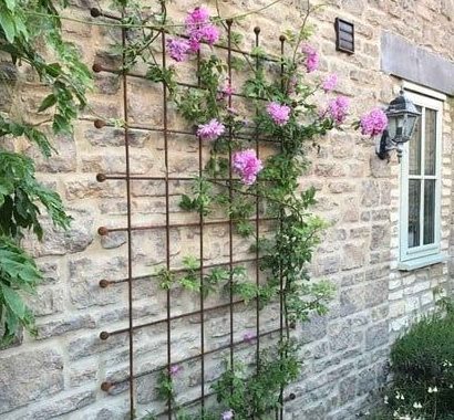 A trellis panel and some climbing plants and flowers