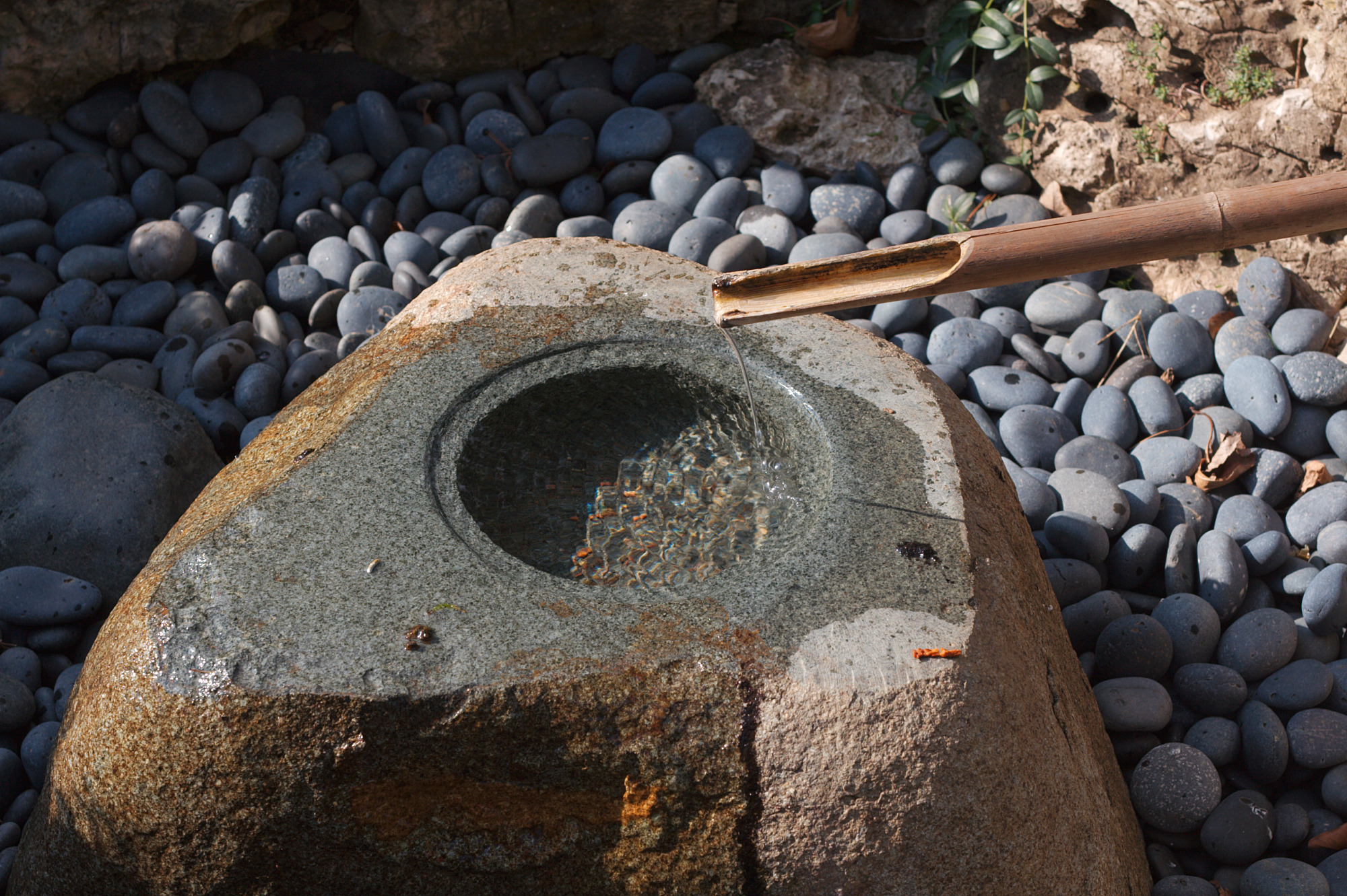 Bamboo and rock water feature on gravel