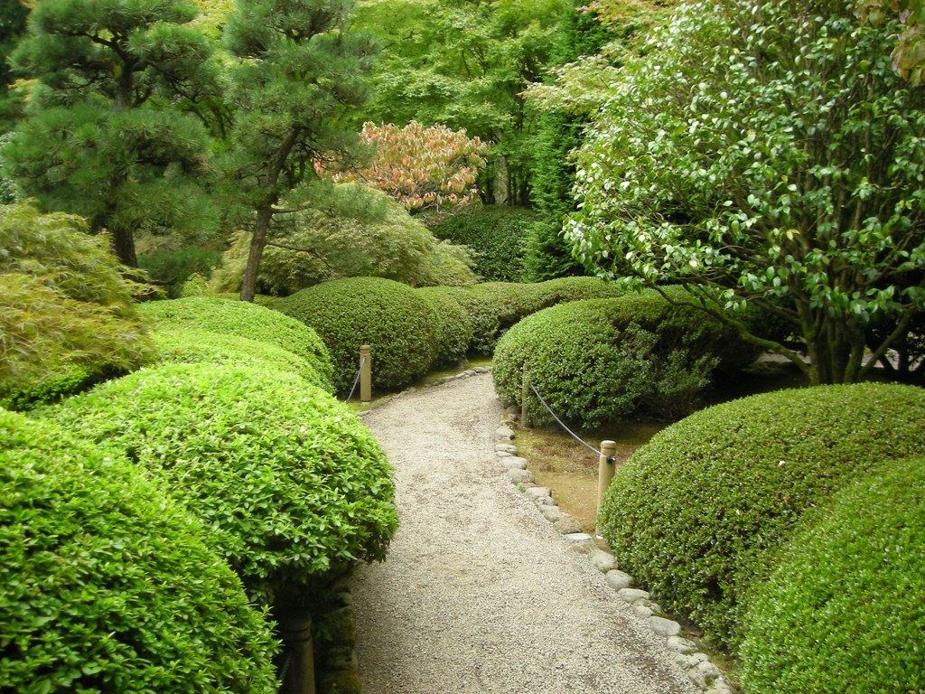 Gravel pathway surrounded with lush shrubs