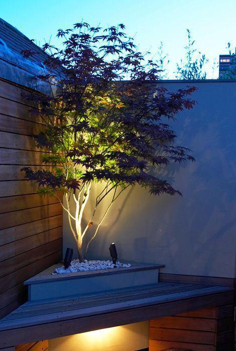 lit up corner tree