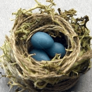 miniature bird's nest