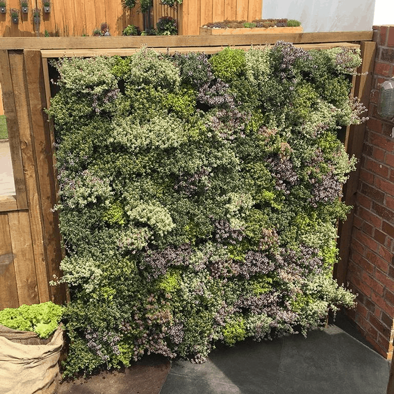 a living wall with greenery in a timber frame