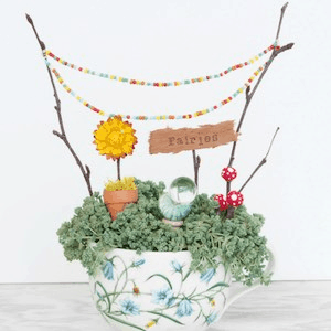 Teacup fairy garden