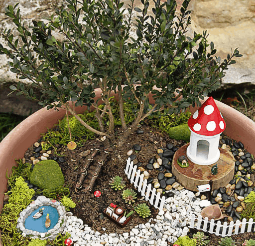 Bonsai Tree fairy garden