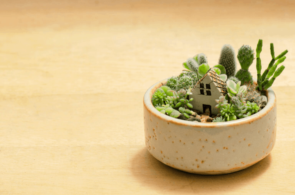 miniature fairy garden