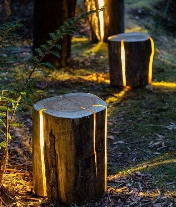 light logs