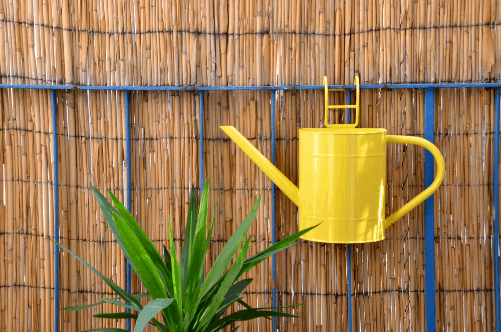 reed roll screen with hanging yellow watering can and plant