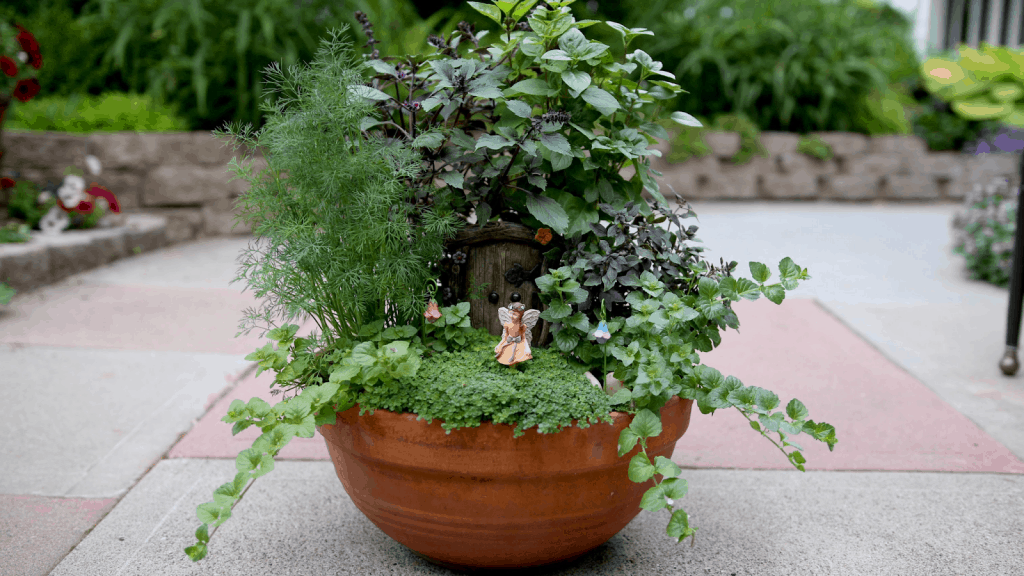 fairy herby garden