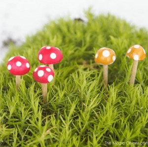 mini toadstools