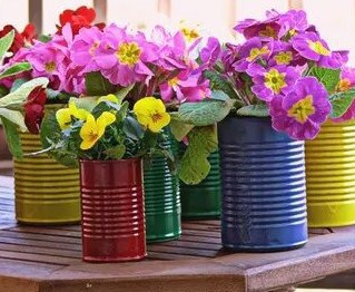 multicoloured recycled cans with flowers