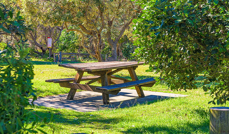 Picnic table in the garden
