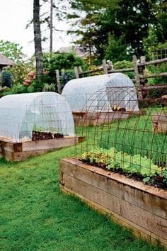 Garden beds and mini polytunnels