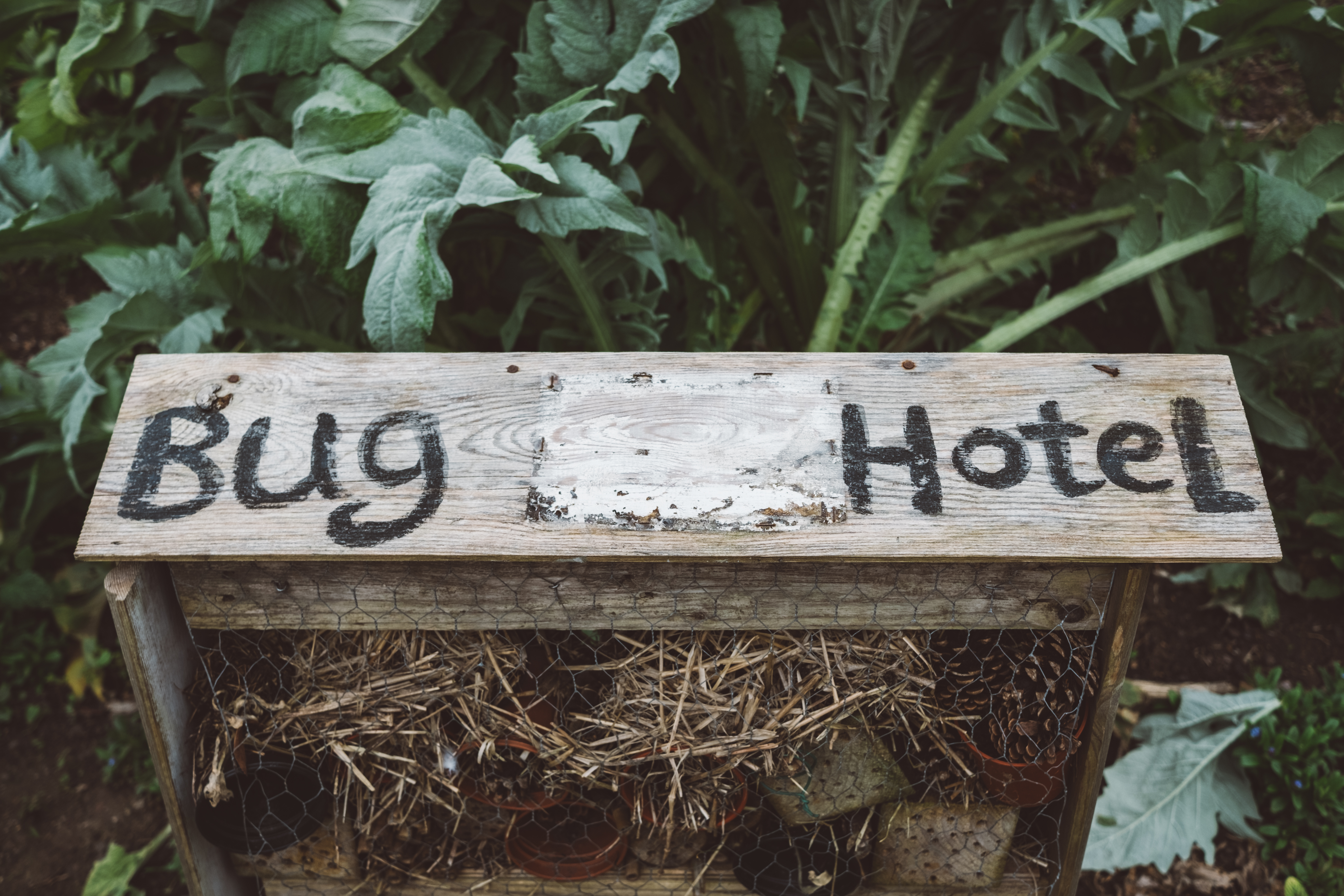 Wooden bug hotel with a "bug hotel" sign