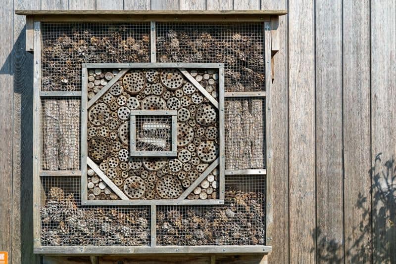 insect hotel against a wooden structure with square sections and pattern