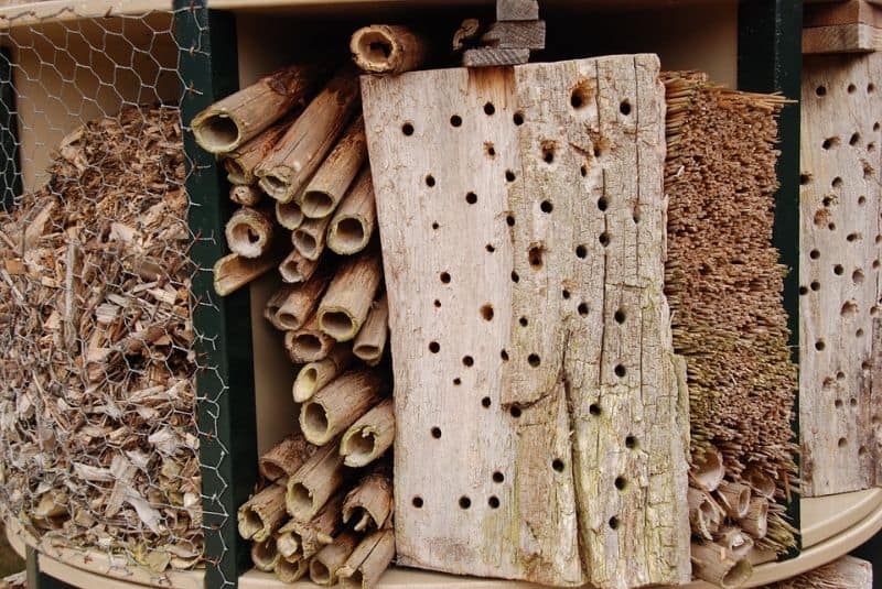 bug hotel with wire grating, tubes, and wood with holes in it