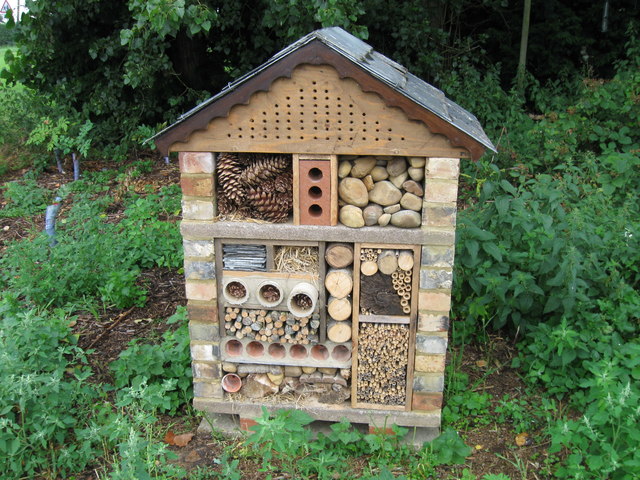 DIY bug hotel with a roof