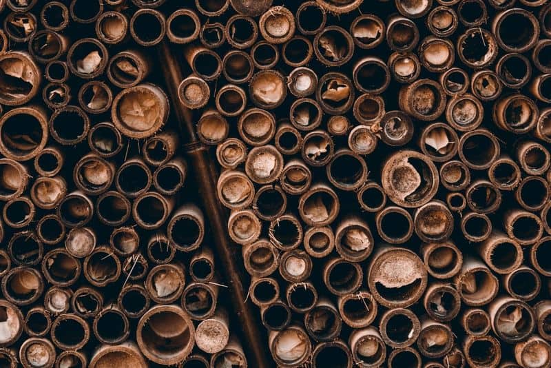 tubes for a bug hotel