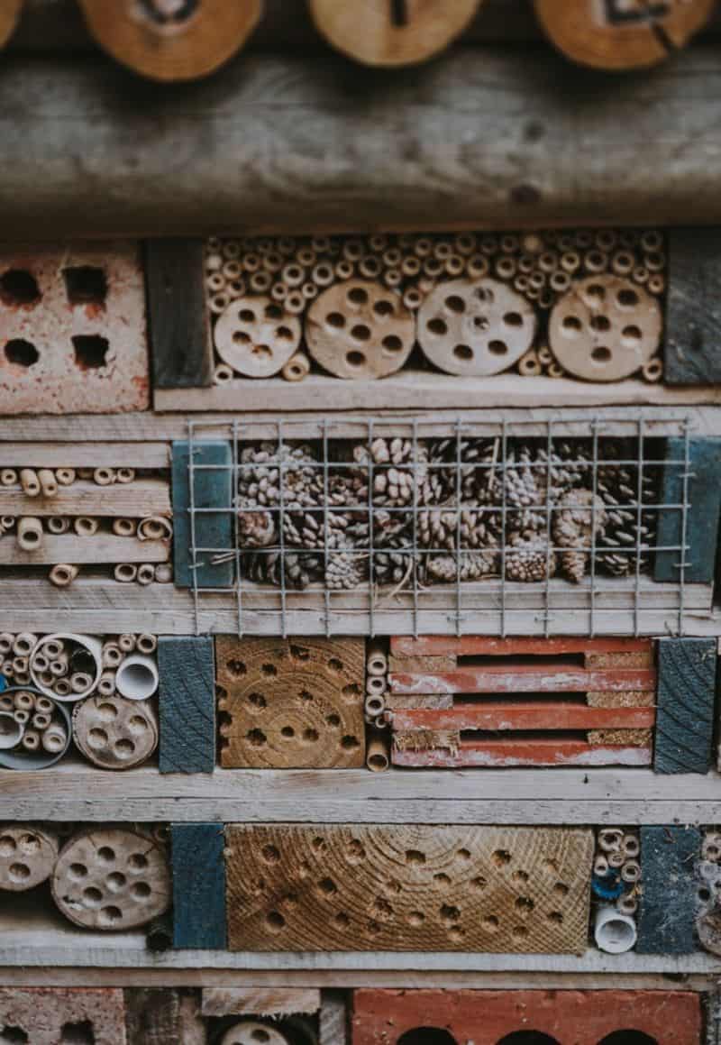 bug hotel with pinecones behind grates in between pallets