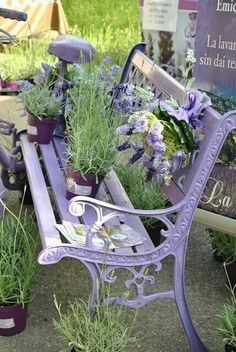 white and purple bench with flower pots on it