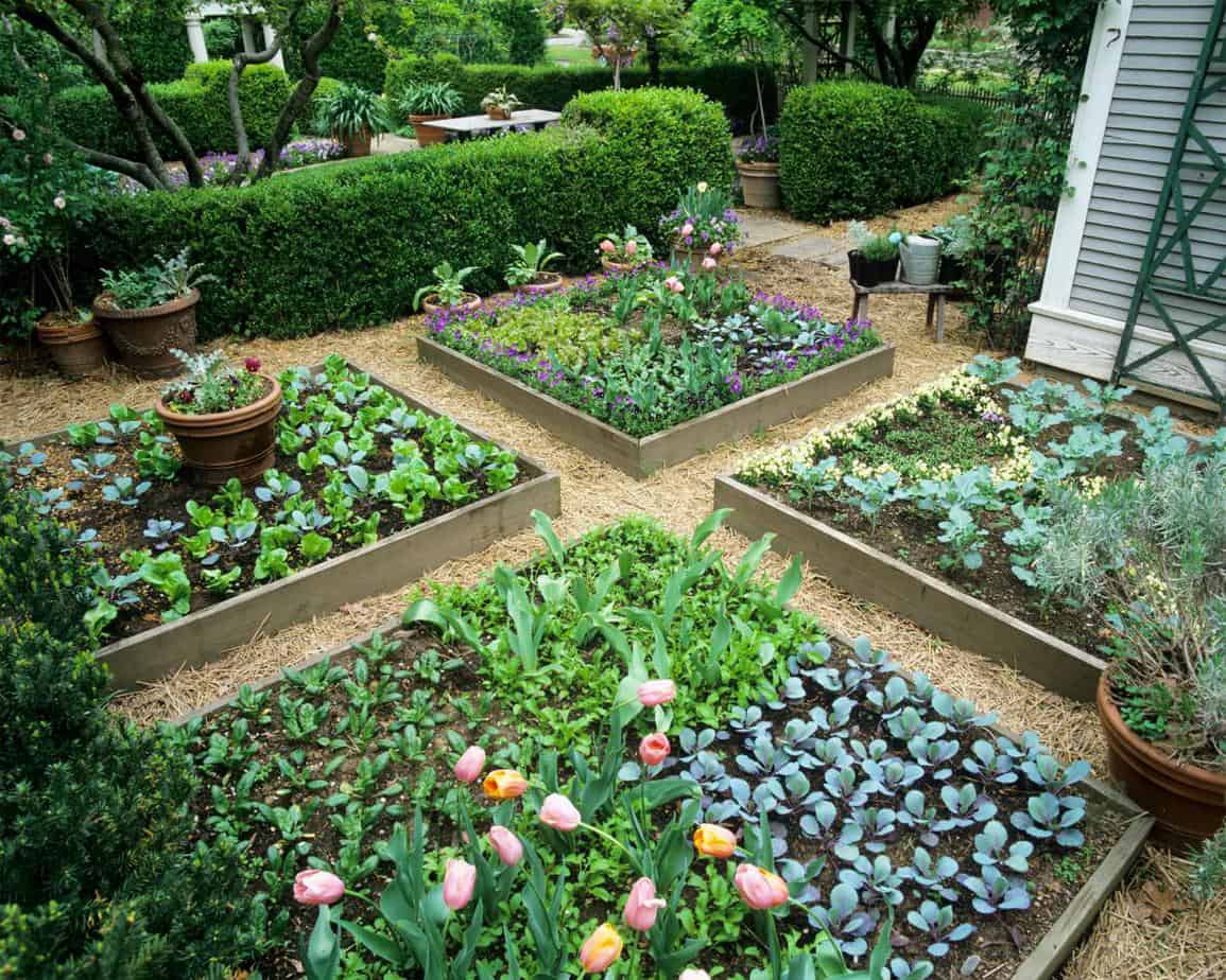 Compact garden with flowers