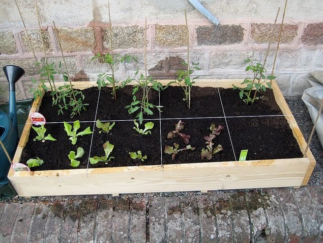 Small vegetable garden for a tiny outdoor space
